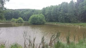 Zelenov-Teiche