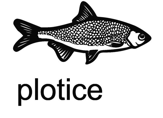 Plötze