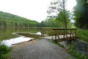 Zelenov ponds