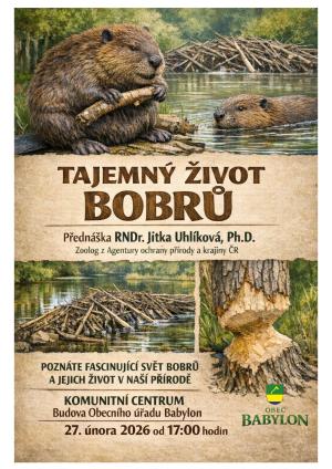 bobři v přírodě